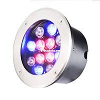 Đèn đài phun nước