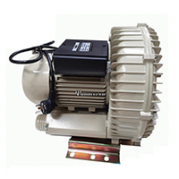 Máy thổi khí bể bơi